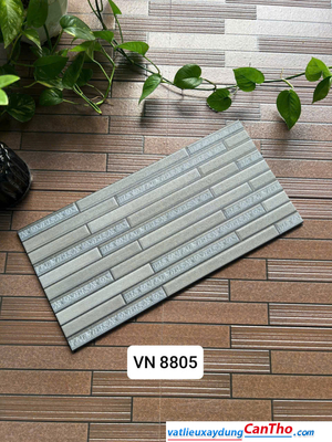 Việt Nhật VN 8805